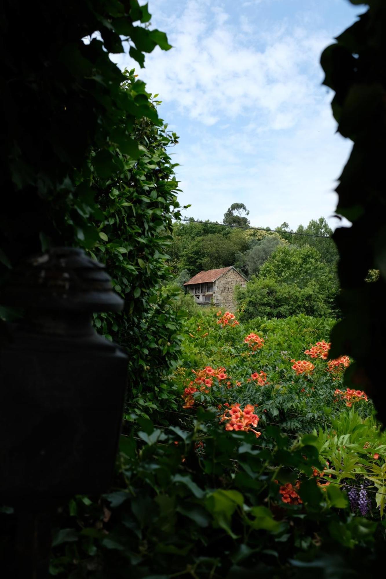 Apartmán Casa De Cerqueda Celorico De Basto Exteriér fotografie