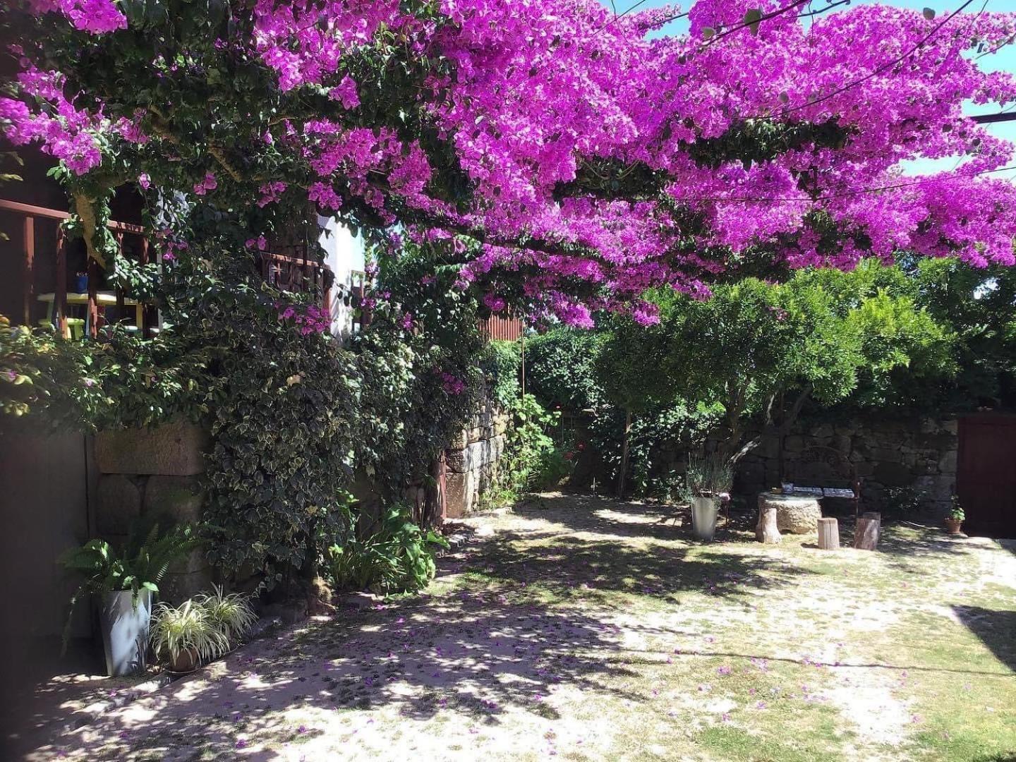Apartmán Casa De Cerqueda Celorico De Basto Exteriér fotografie