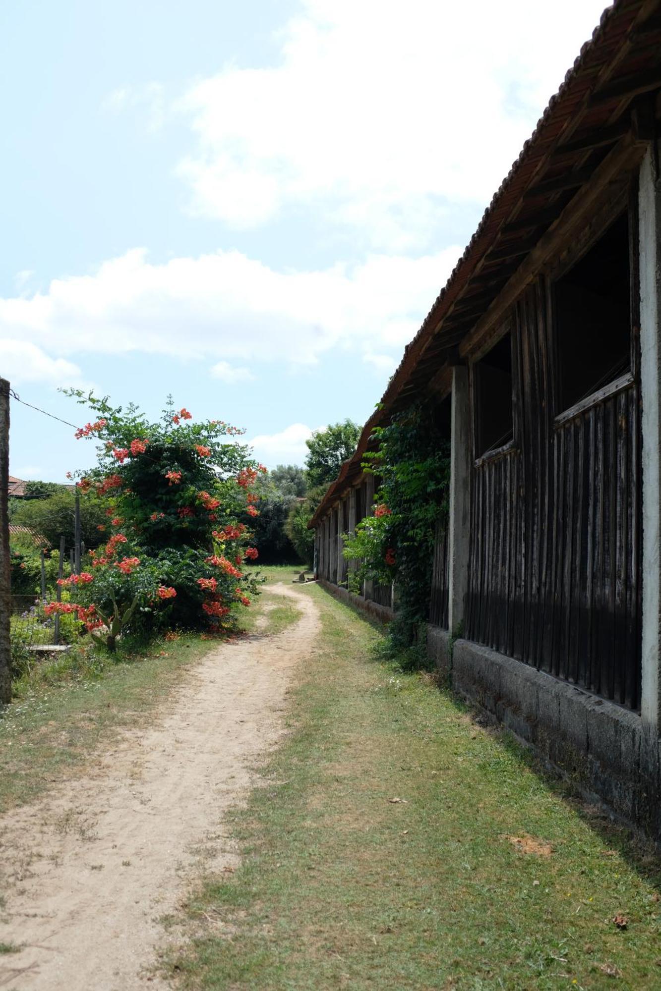 Apartmán Casa De Cerqueda Celorico De Basto Exteriér fotografie