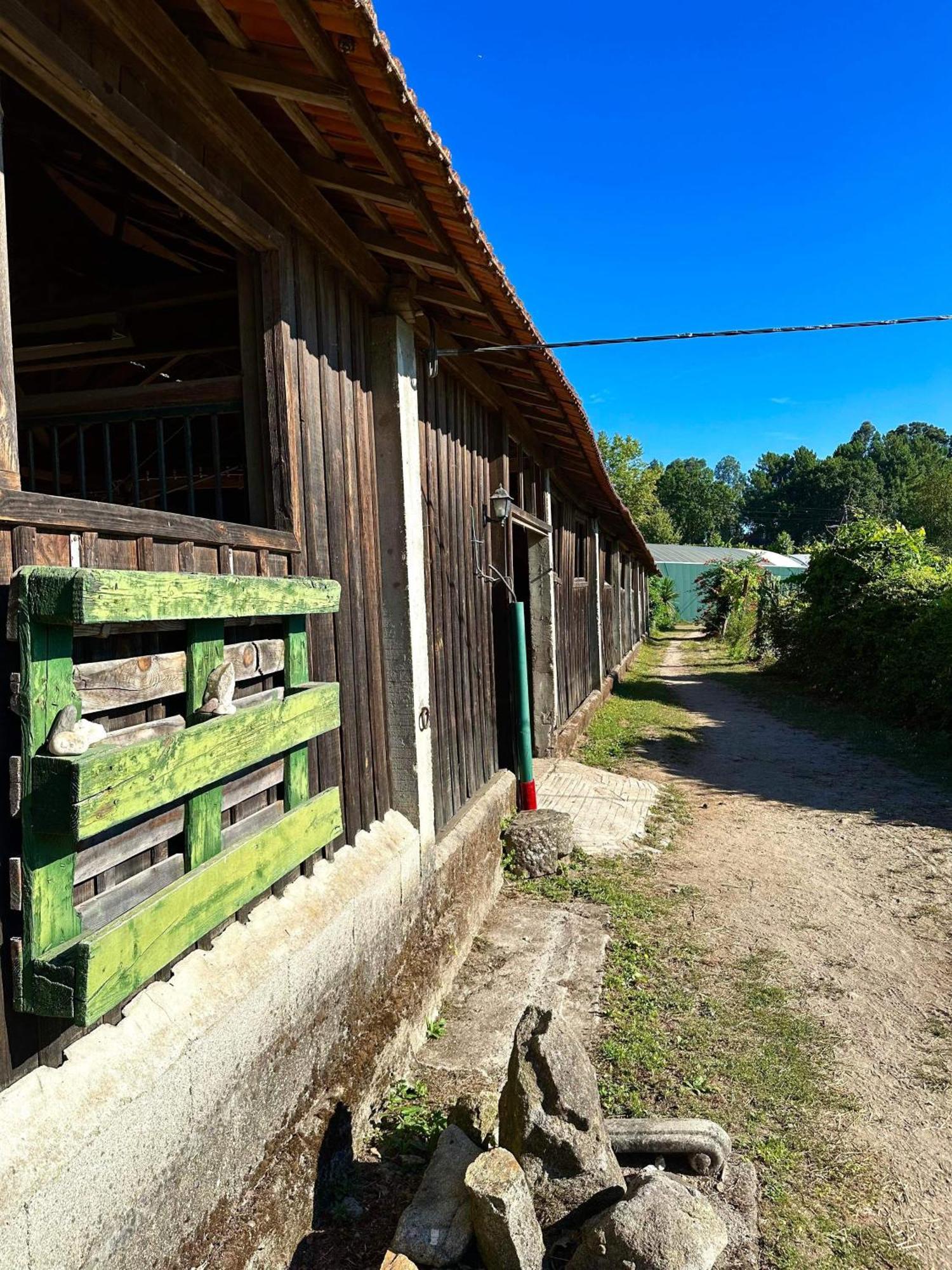 Apartmán Casa De Cerqueda Celorico De Basto Exteriér fotografie