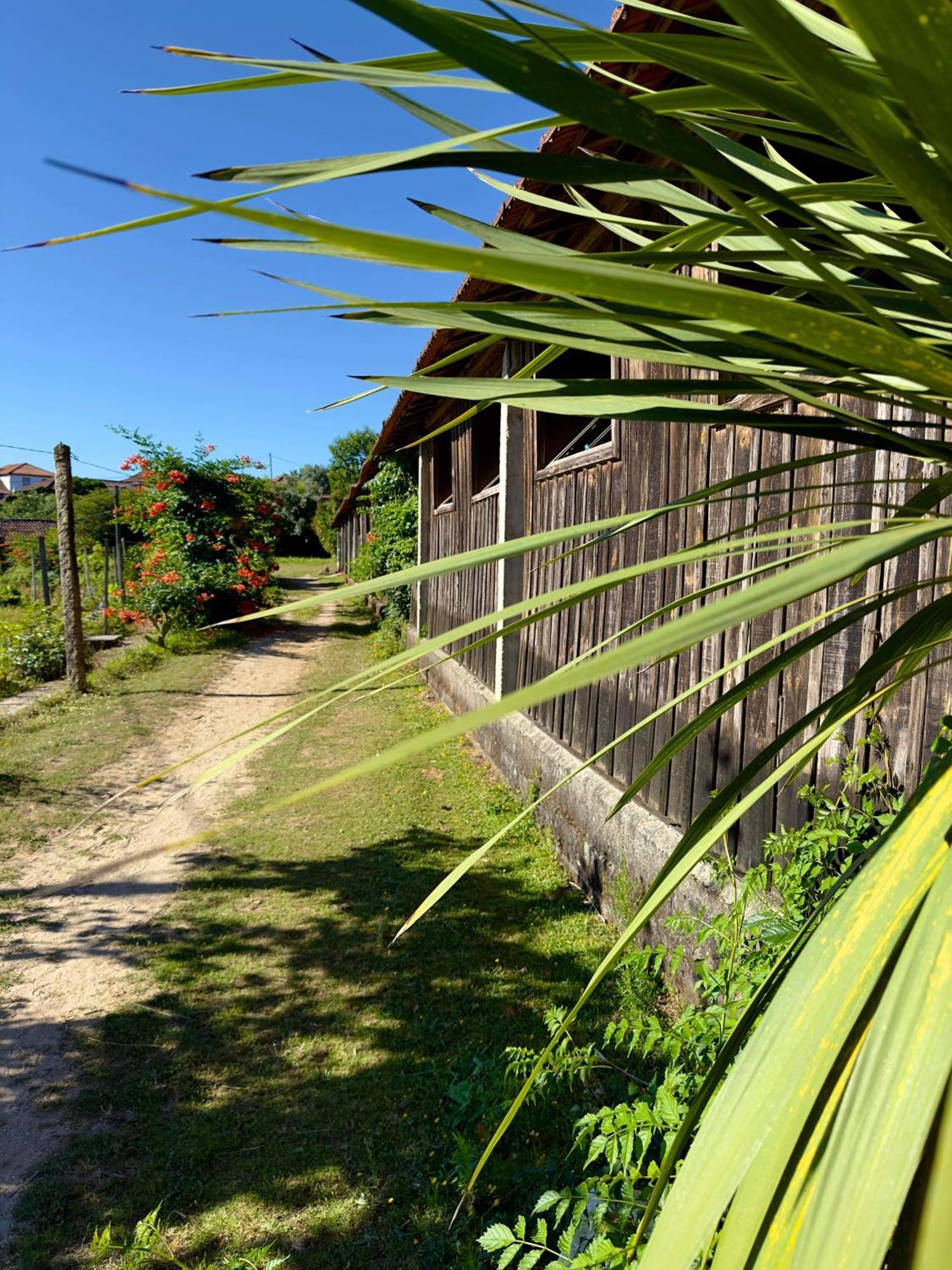 Apartmán Casa De Cerqueda Celorico De Basto Exteriér fotografie